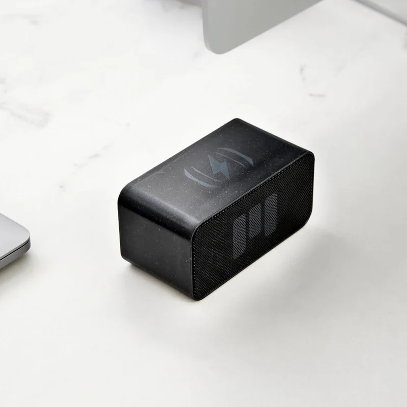 CHARGE&PLAY MINI II - Black