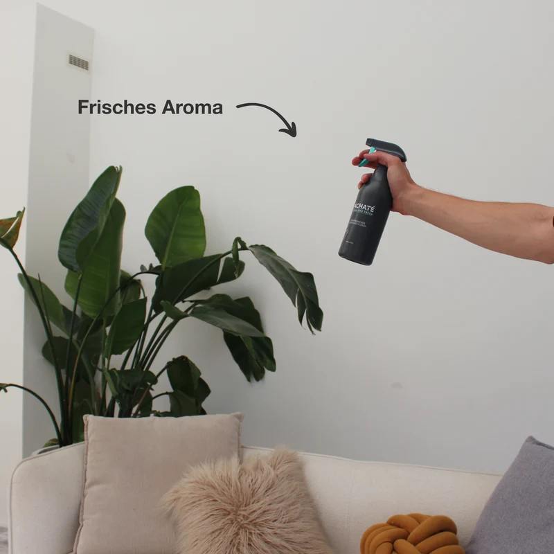 Clean and Fresh Geruchsentferner