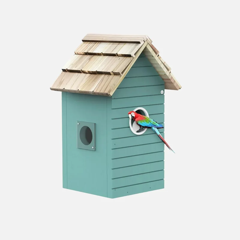 RAINBEAN Nistkasten mit Kamera NB-E1 – 4 MP, Echtzeit-Vogelbeobachtung, KI-Erkennung, DIY, Blau