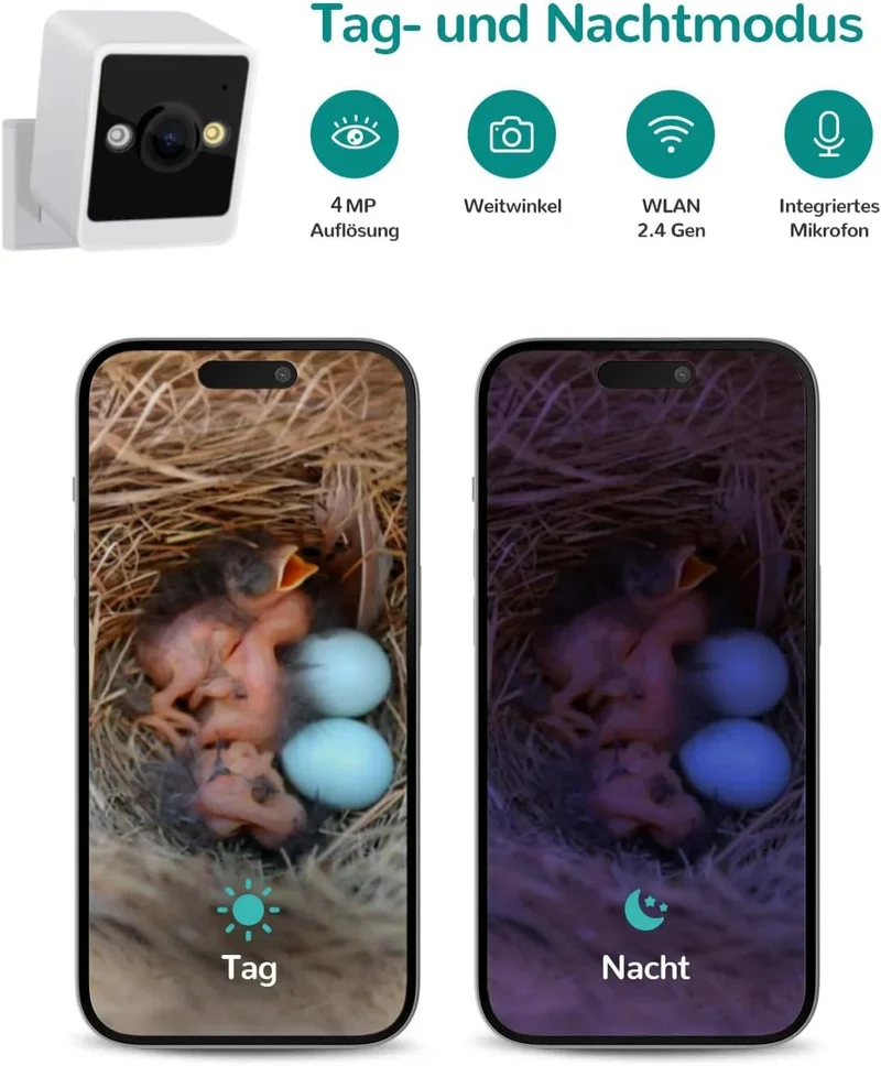 RAINBEAN Nistkasten mit Kamera NB-E1 – 4 MP, Echtzeit-Vogelbeobachtung, KI-Erkennung, DIY, Blau