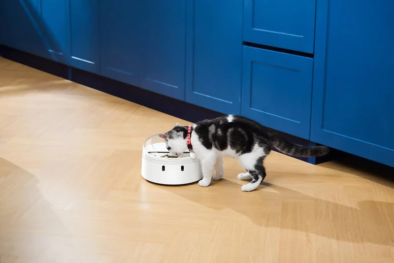 CATLINK RFID F03 Futterautomat für Haustiere
