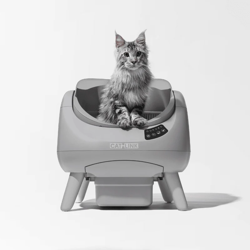 CATLINK Open-X Lite – Offene, selbstreinigende Katzentoilette