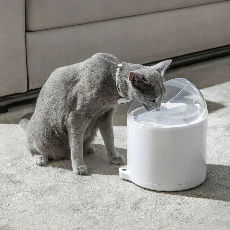 CATLINK W02 Intelligenter AI-Wasserbrunnen – Pure 2