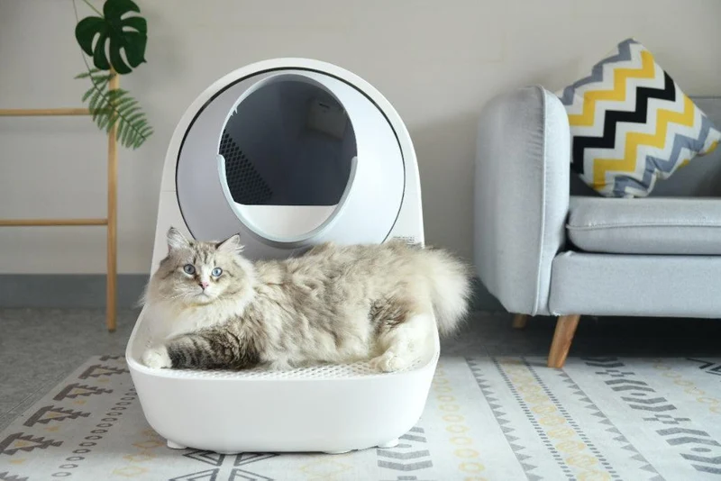 Bundle: Catlink Pro-X Luxury mit Treppe selbstreinigende Katzentoilette + Zubehör