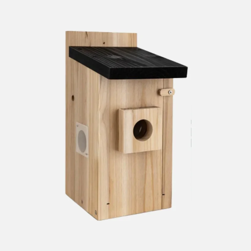 RAINBEAN Nistkasten mit Kamera NW-E1 – 4 MP, Echtzeit-Vogelbeobachtung, KI-Erkennung, DIY