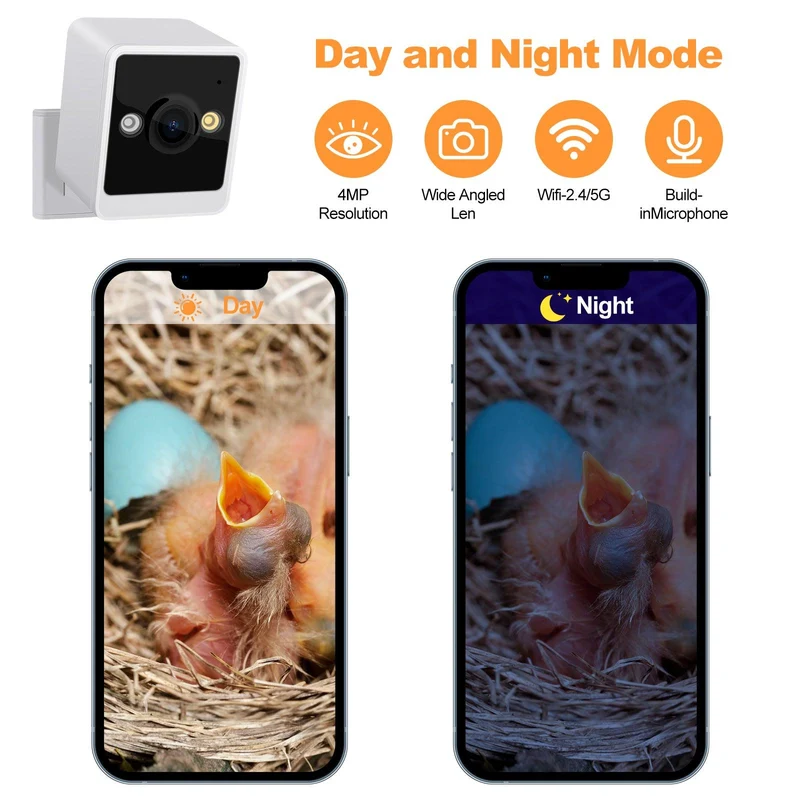 RAINBEAN Nistkasten mit Kamera NW-E1 – 4 MP, Echtzeit-Vogelbeobachtung, KI-Erkennung, DIY