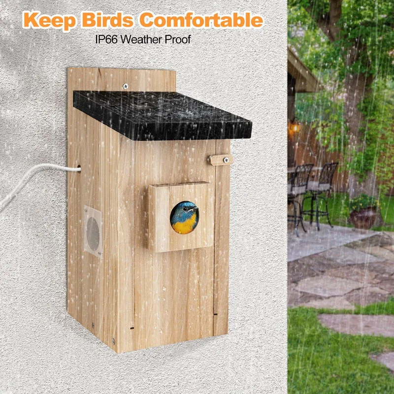 RAINBEAN Nistkasten mit Kamera NW-E1 – 4 MP, Echtzeit-Vogelbeobachtung, KI-Erkennung, DIY