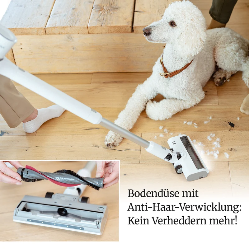 Bürstenwalze für LVX Turbodüse