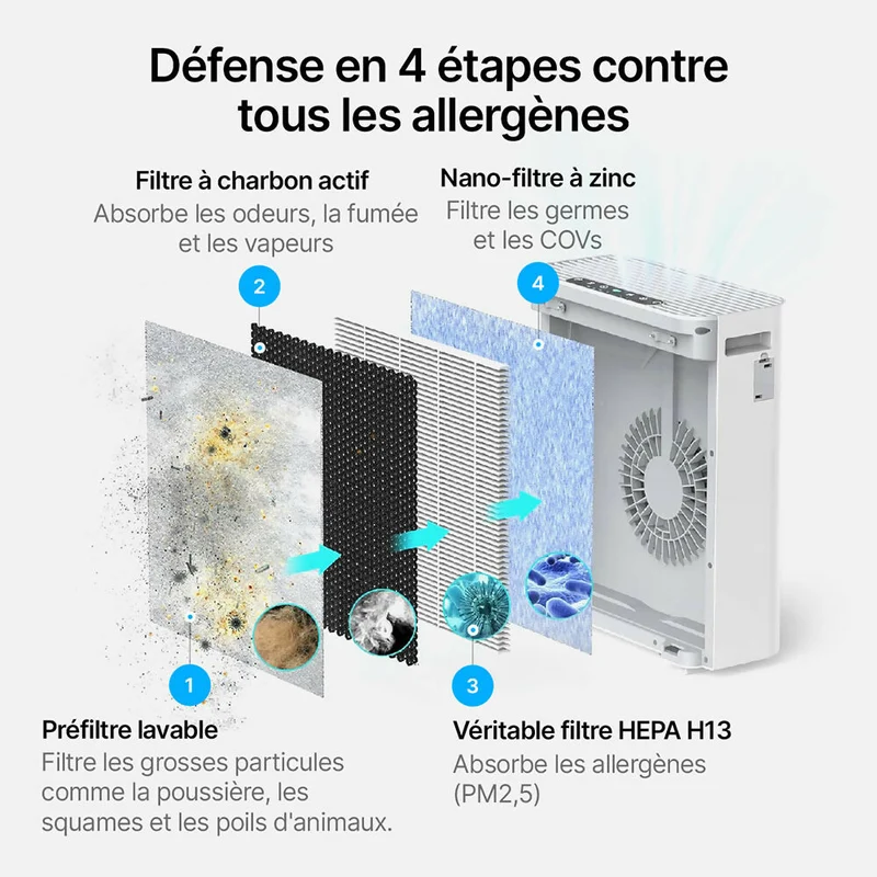 Purificateur d'air Pro : filtration en 4 étapes pour une fraîcheur remarquable et un intérieur sain
