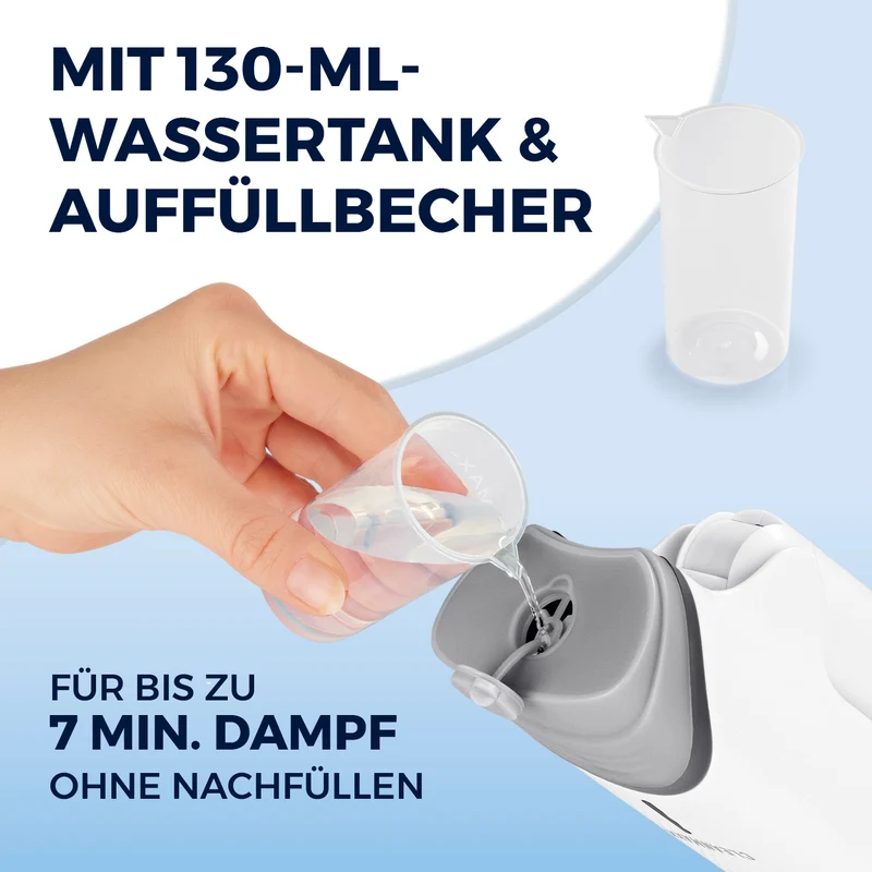 2in1-Dampfbürste