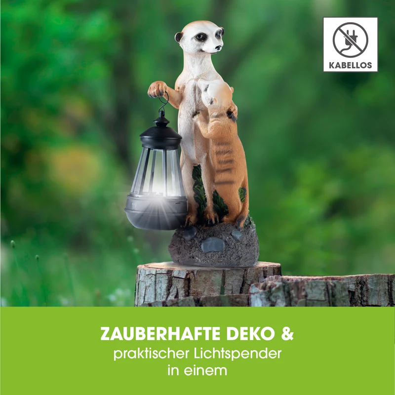 Solar-Erdmännchen-Familie
