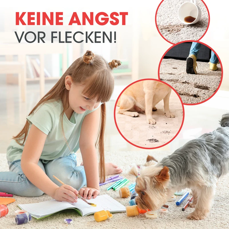 Teppichreiniger AquaStream